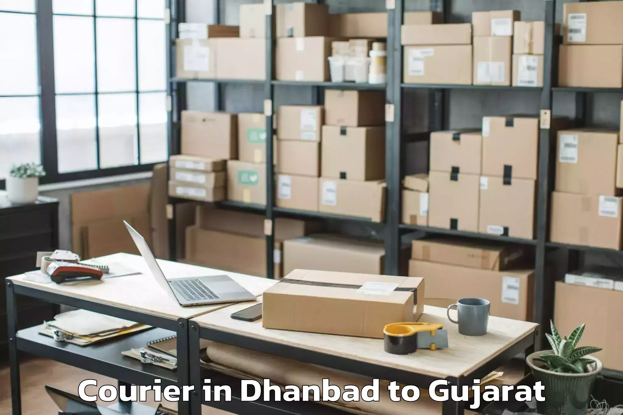 Leading Dhanbad to Gujarat University Of Transpla Courier Provider